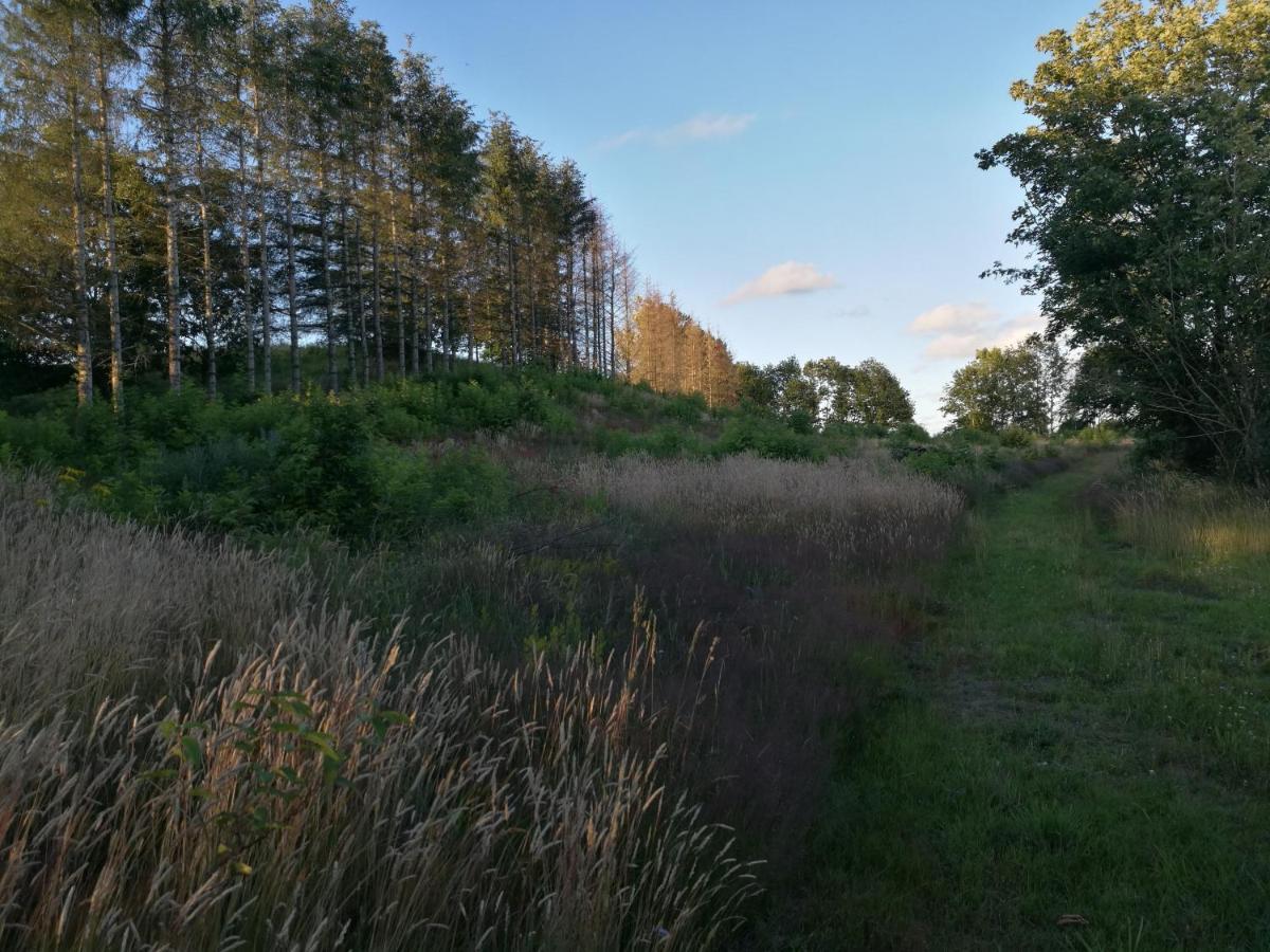 Вилла Haervejsly - Perfekt Familiebase Til Oplevelse Af Sydjylland Гиве Экстерьер фото